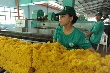 VRG bắt nhịp với đối tác Nhật Bản